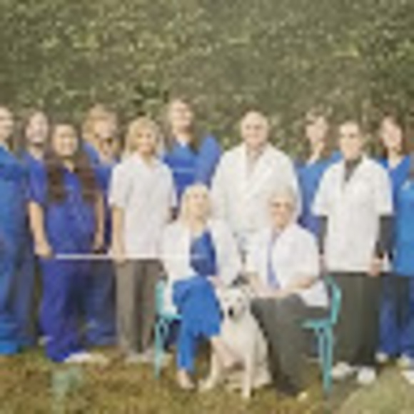 Meet your Posher, Tonia - Picture 1 of 1